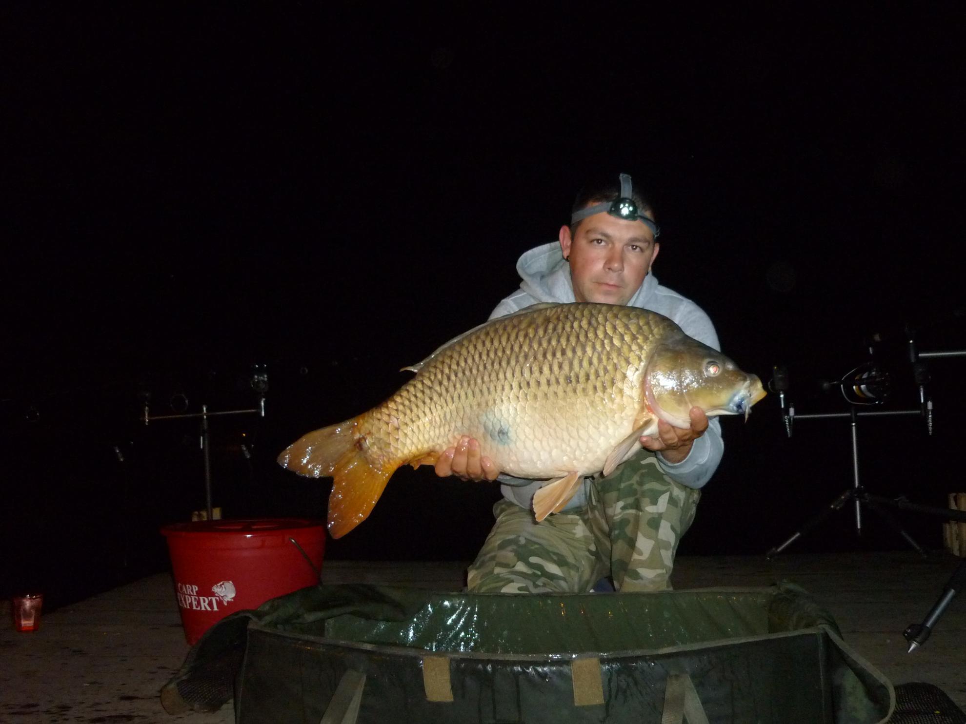 Nagykallo 2011 - p1020372.JPG